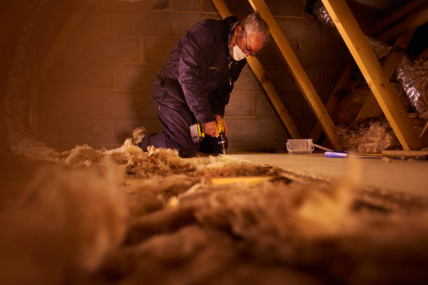 Best Basement Insulation  in Cordova, NC